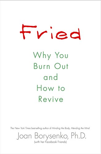 Stock image for Fried: Why You Burn Out and How to Revive for sale by SecondSale