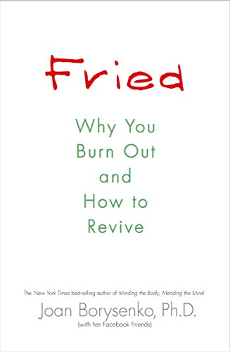 Stock image for Fried: Why You Burn Out and How to Revive for sale by Wonder Book