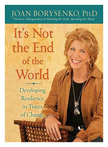 Imagen de archivo de It's Not The End of The World: Developing Resilience in Times of Change a la venta por Hamelyn