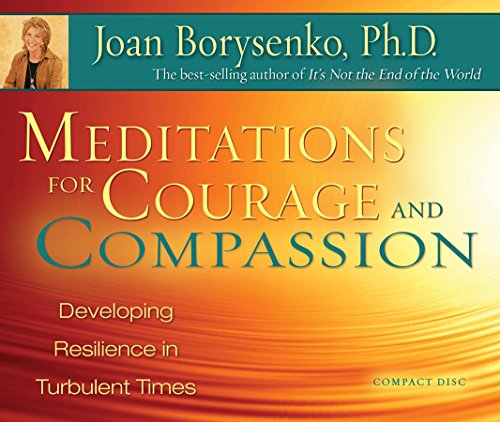 Imagen de archivo de Meditations for Courage and Compassion: Developing Resilience in Turbulent Times a la venta por Half Price Books Inc.