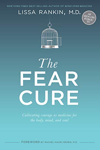 Beispielbild fr The Fear Cure: Cultivating Courage as Medicine for the Body, Mind, and Soul zum Verkauf von medimops