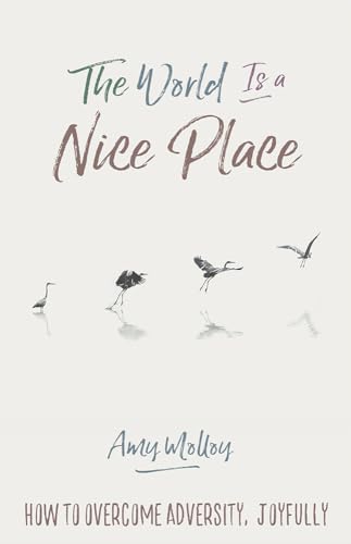 Stock image for World Is a Nice Place, The: How to Overcome Adversity, Joyfully for sale by AwesomeBooks