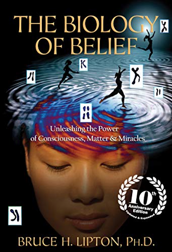 Stock image for The Biology of Belief 10th Anniversary Edition: Unleashing the Power of Consciousness, Matter & Miracles for sale by Half Price Books Inc.