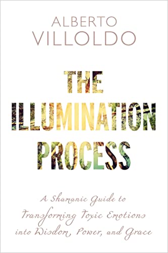 9781401953546: The Illumination Process: A Shamanic Guide to Transforming Toxic Emotions into Wisdom, Power, and Grace