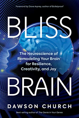 Stock image for Bliss Brain: The Neuroscience of Remodeling Your Brain for Resilience, Creativity, and Joy for sale by Zoom Books Company