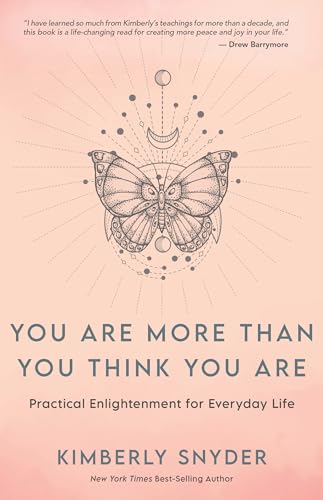 Imagen de archivo de You Are More Than You Think You Are: Practical Enlightenment for Everyday Life a la venta por Goodwill Industries of VSB