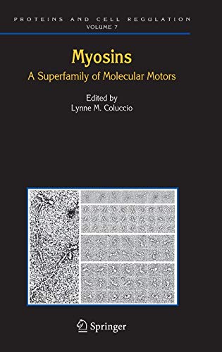 Imagen de archivo de Myosins : A Superfamily of Molecular Motors a la venta por Better World Books