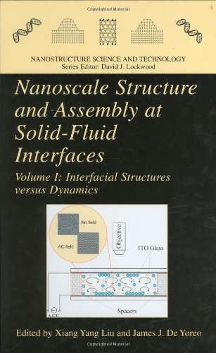 9781402077920: Title: Nanoscale Structure and Assembly at SolidFluid Int
