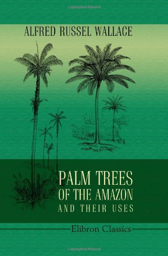 9781402123054: Palm Trees of the Amazon and Their Uses