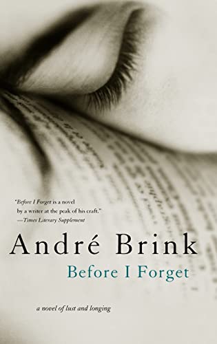 9781402208669: Before I Forget: A Novel