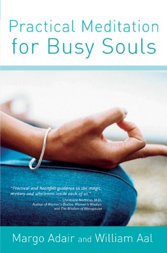 Beispielbild fr Practical Meditation for Busy Souls zum Verkauf von Better World Books