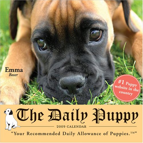 The Daily Puppy 2009 (9781402213144) by Sourcebooks, Inc.