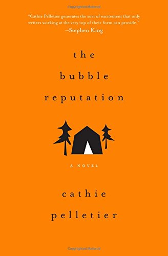 9781402294938: The Bubble Reputation: A Novel