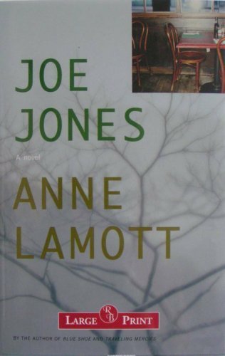 9781402579202: Joe Jones: A Novel