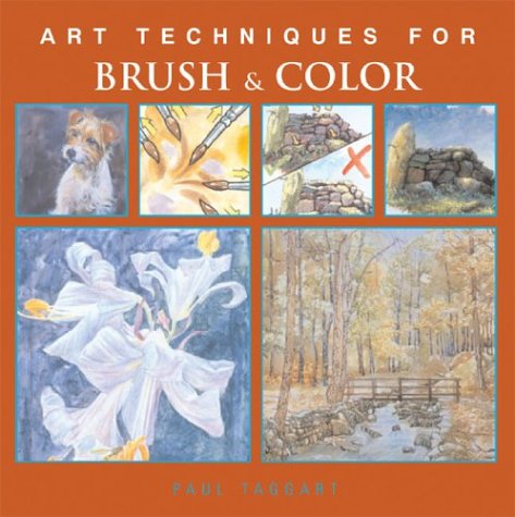 Stock image for Art Techniques for Brush and Color for sale by Better World Books