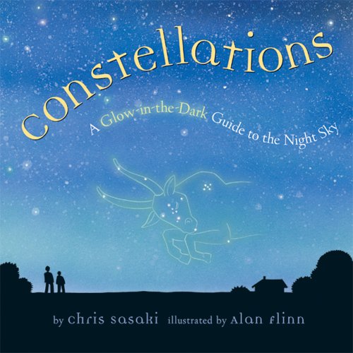 9781402703850: Constellations: A Glow-in-the-dark Guide to the Night Sky