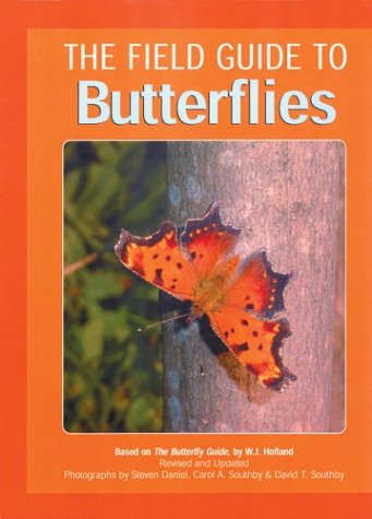 9781402706936: Field Guide to Butterflies