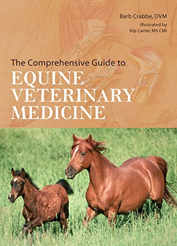 Stock image for The Comprehensive Guide to Equine Veterinary Medicine for sale by Ergodebooks