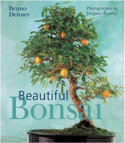 Beispielbild fr Beautiful Bonsai zum Verkauf von Better World Books