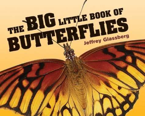 Beispielbild fr Big Little Book of Butterflies zum Verkauf von Better World Books
