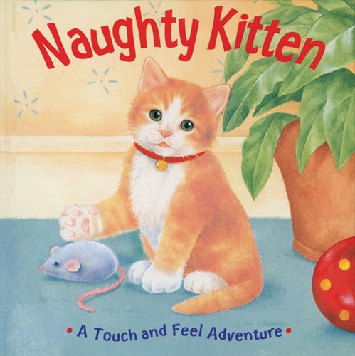 9781402724541: Naughty Kitten: A Touch And Feel Adventure