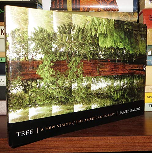 Beispielbild fr Tree : A New Vision of the American Forest zum Verkauf von Better World Books: West