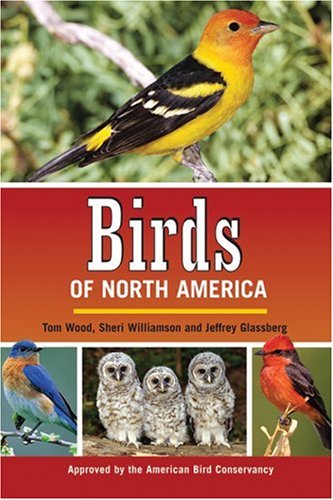 Beispielbild fr Birds of North America zum Verkauf von Once Upon A Time Books