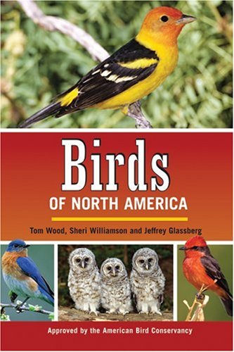 Stock image for Birds of North America for sale by Once Upon A Time Books