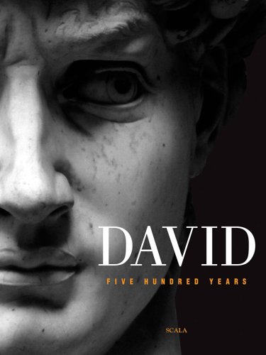 Stock image for David: Five Hundred Years for sale by HPB-Ruby