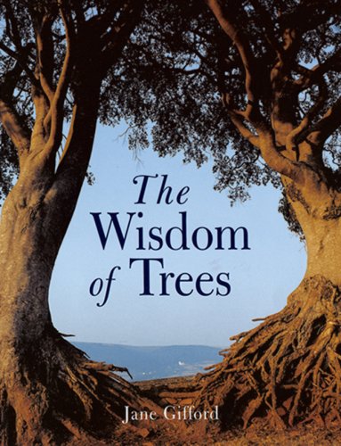 Beispielbild fr The Wisdom of Trees zum Verkauf von SecondSale