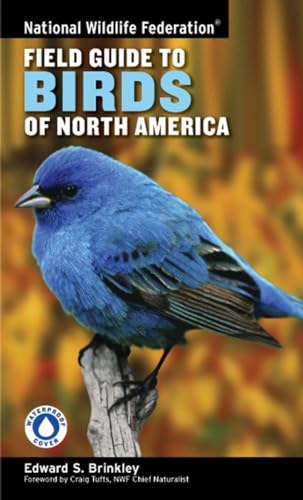 Stock image for National Wildlife Federation Field Guide to Birds of North America for sale by Ergodebooks