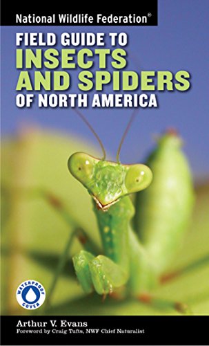 Beispielbild fr National Wildlife Federation Field Guide to Insects and Spiders & Related Species of North America zum Verkauf von SecondSale