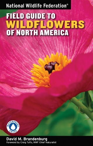 Stock image for National Wildlife Federation Field Guide to Wildflowers of North America for sale by Ergodebooks