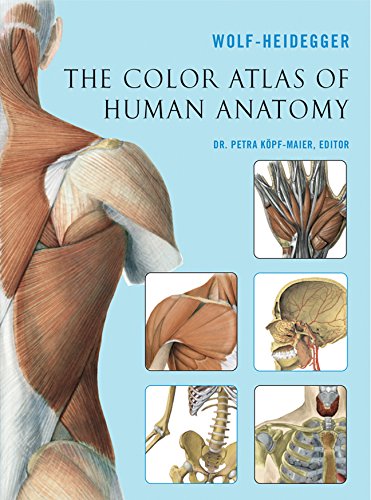 Stock image for The Color Atlas of Human Anatomy for sale by SecondSale