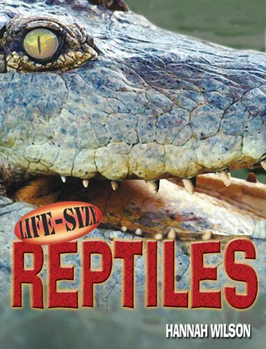 Imagen de archivo de Life-Size Reptiles (Life-Size Series) a la venta por HPB Inc.