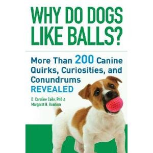 Beispielbild fr Why Do Dogs Like Balls?: More Than 200 Canine Quirks, Curiosities, and Conundrums Revealed zum Verkauf von SecondSale