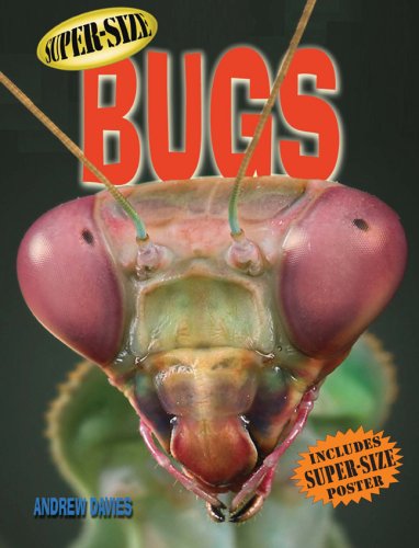 Beispielbild fr Super-Size Bugs zum Verkauf von Better World Books