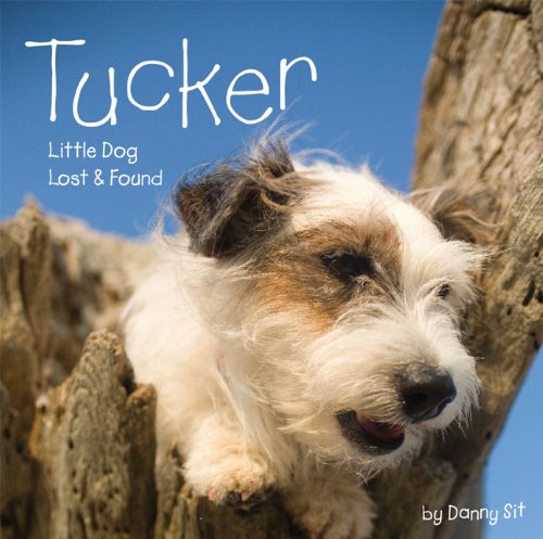 Stock image for Tucker: Little Dog Lost & Found for sale by Jenson Books Inc