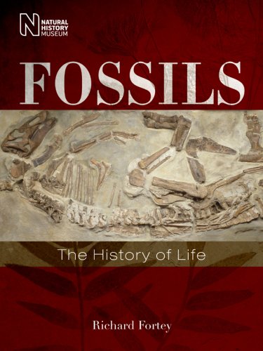 Stock image for Fossils : The History of Life for sale by Better World Books: West