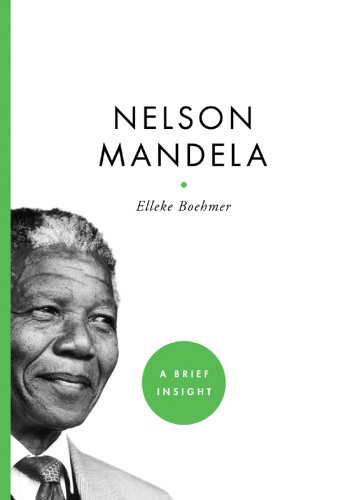 Stock image for Nelson Mandela (A Brief Insight) for sale by BookHolders