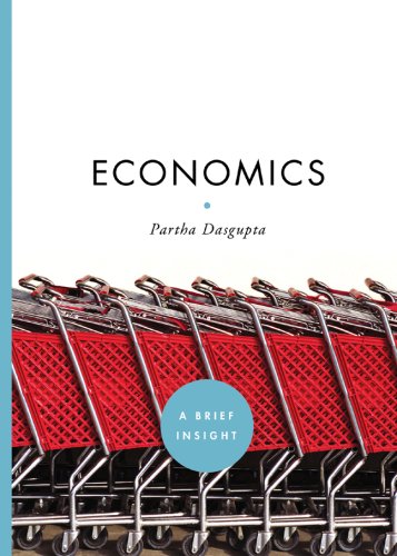 9781402768941: Economics (A Brief Insight)