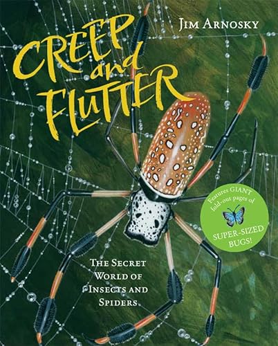 Beispielbild fr Creep and Flutter : The Secret World of Insects and Spiders zum Verkauf von Better World Books