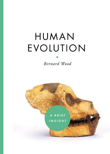 Imagen de archivo de Human Evolution (A Brief Insight) a la venta por Half Price Books Inc.