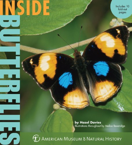 Beispielbild fr Inside Butterflies (Inside Series) zum Verkauf von SecondSale