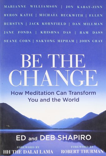 Be the Change: How Meditation Can Transform You and the World (9781402782398) by Shapiro, Eddie; Shapiro, Debbie