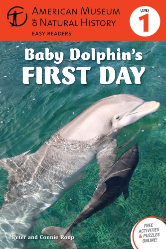 9781402785634: Baby Dolphin's First Day (American Museum of Natural History Easy Readers)