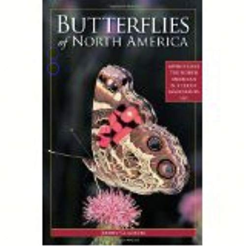 Imagen de archivo de Butterflies of North America a la venta por ZBK Books