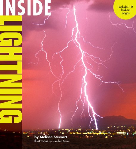 Stock image for Inside Lightning (Inside Series) for sale by New Legacy Books