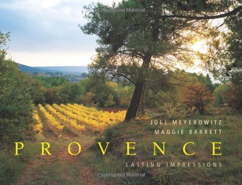 Beispielbild fr Provence: Lasting Impressions zum Verkauf von SecondSale