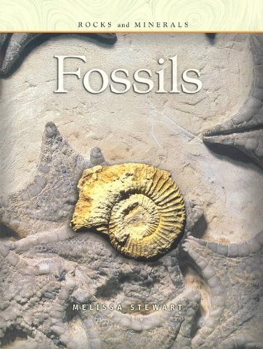 Fossils (Rocks and Minerals) (9781403400918) by Stewart, Melissa